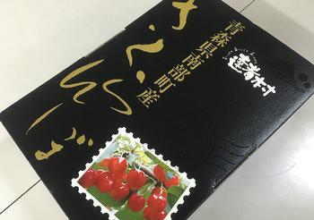 達者村ロゴ使用例