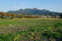 すみやの河川公園の外観