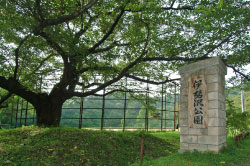 伊勢沢公園の外観