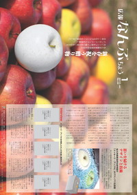 広報なんぶちょう　2010年1月号　表紙