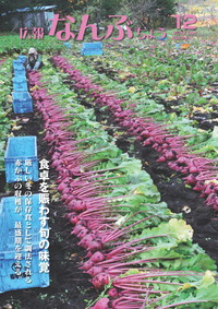 広報なんぶちょう　2012年12月号　表紙