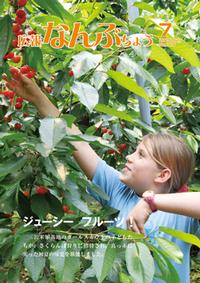 広報なんぶちょう「平成27年7月号」
