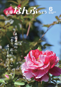 広報なんぶちょう「平成28年6月号」