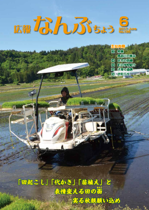 広報なんぶちょう「平成28年6月号」