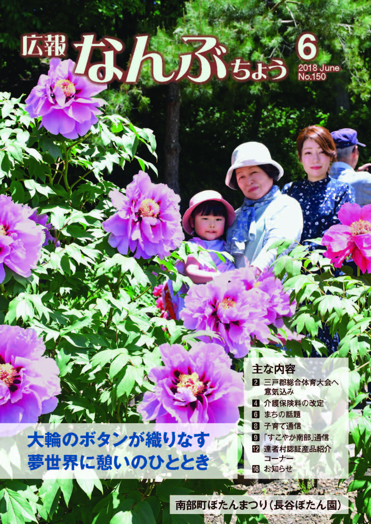 広報なんぶちょう「平成30年6月号」