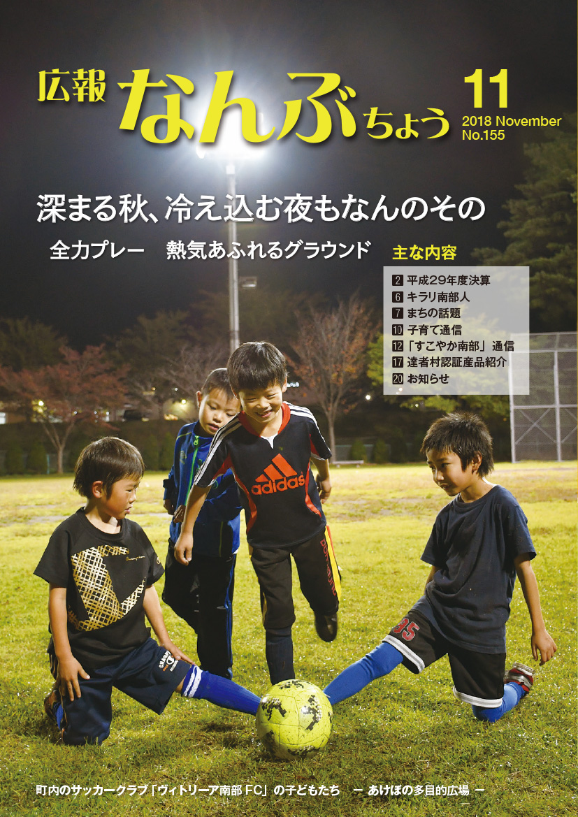 広報なんぶちょう「平成30年11月号」