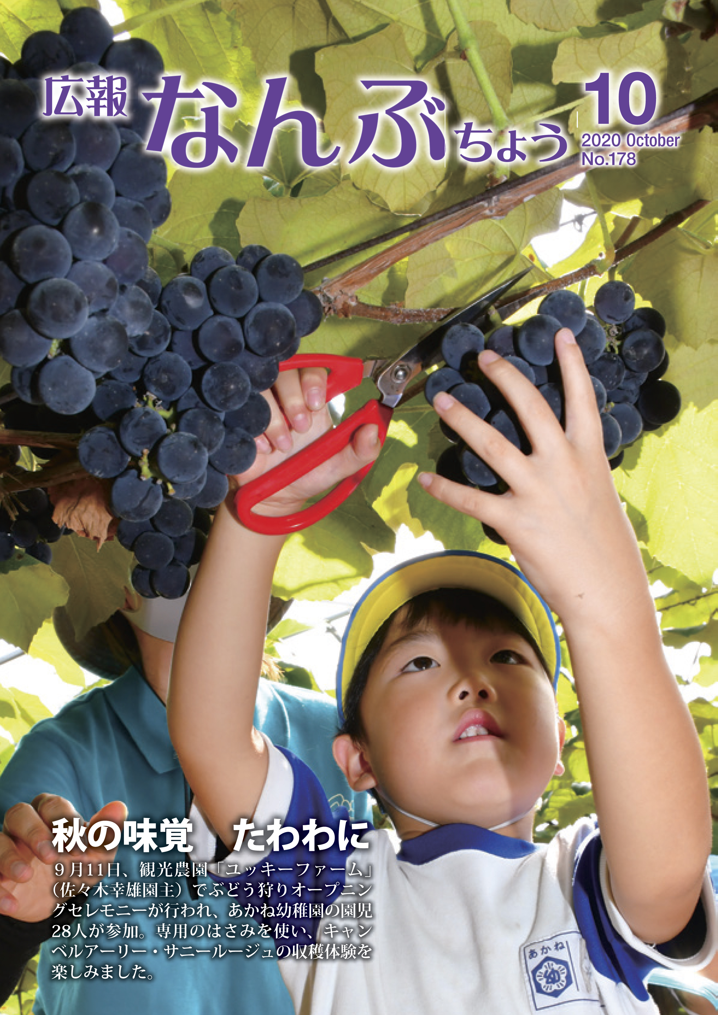 広報なんぶちょう「令和2年10月号」