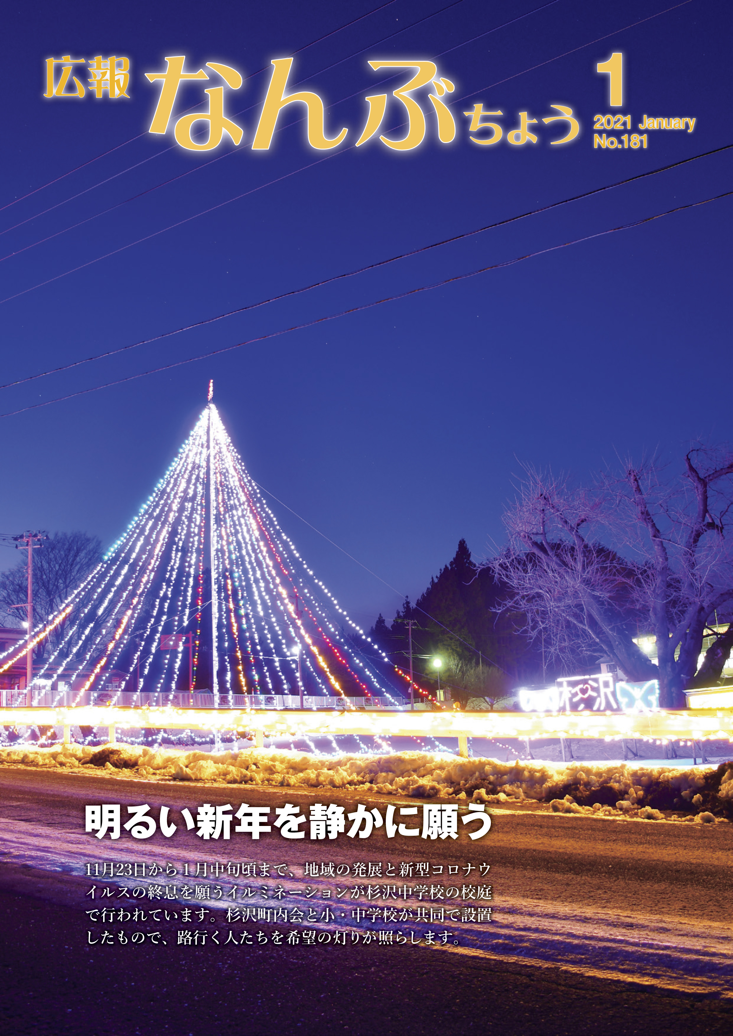 広報なんぶちょう「令和3年1月号」
