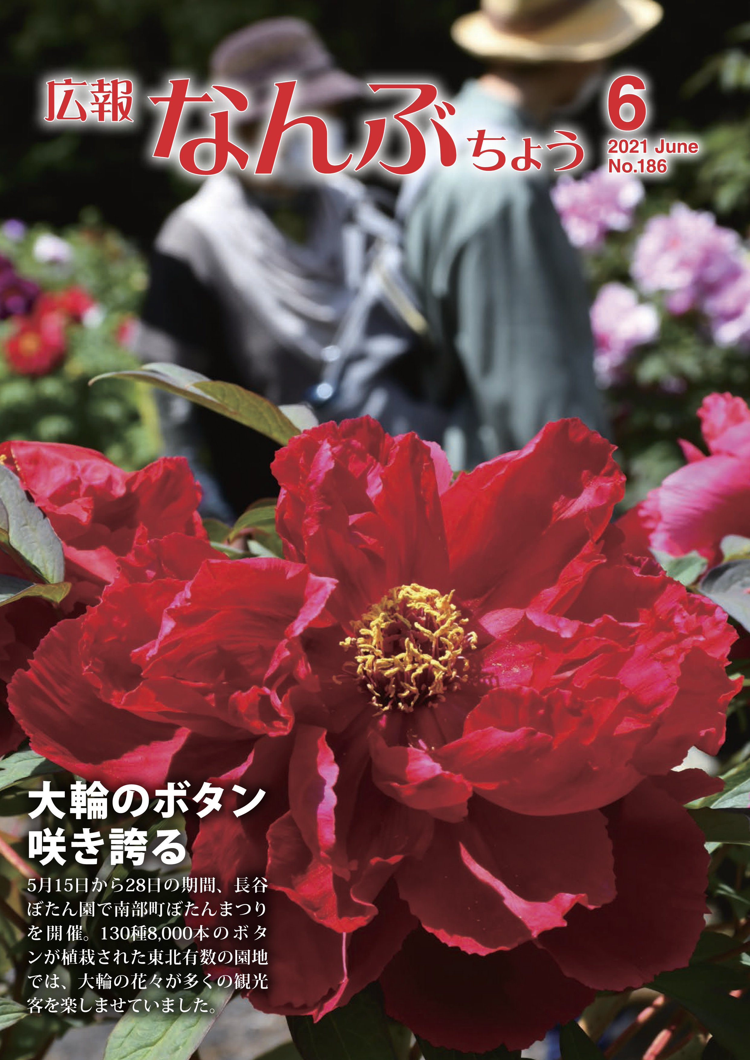広報なんぶちょう「令和2年6月号」