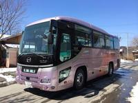達者村フルーツバス車体