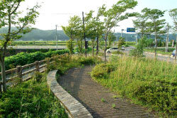 福田大橋公園の外観
