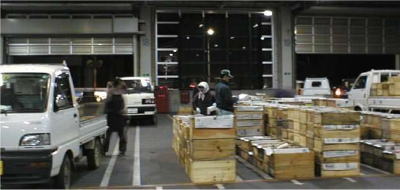 りんごの出荷風景