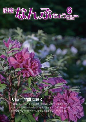 2024年6月号の表紙