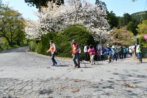 果樹の花見散ウォーク写真