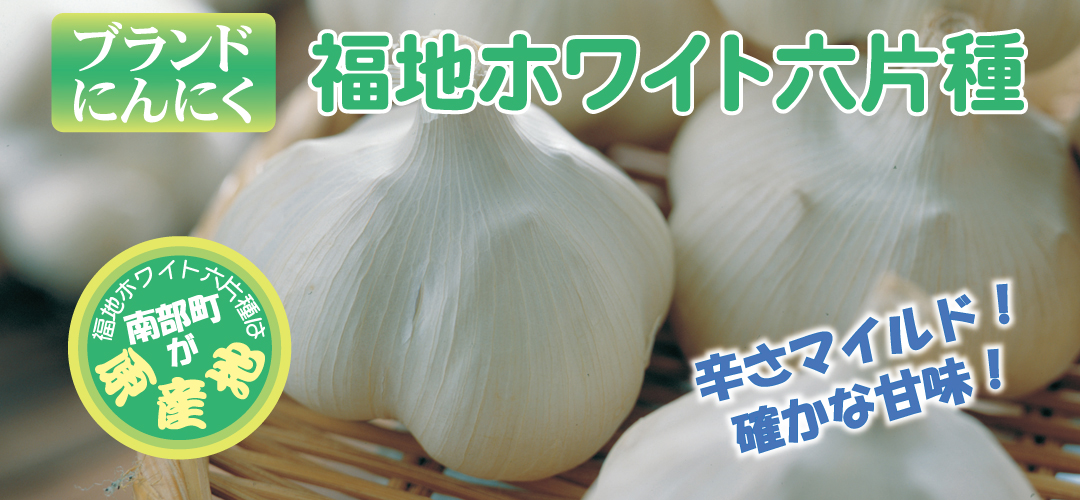 福地ホワイト-ＰＲ紹介