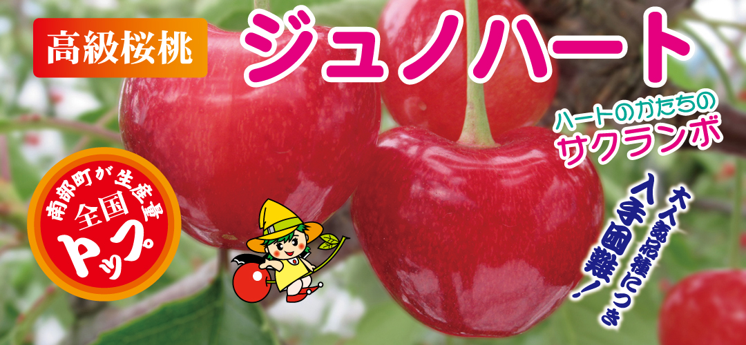 ジュノハート-ＰＲ紹介